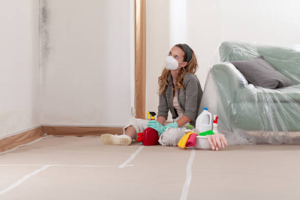 Reliable Basement Mold Remediation contractor in Newport, TN by 24 Hour Mold Removal